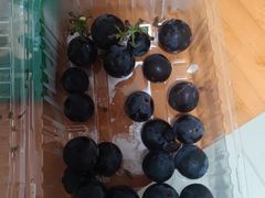 -永辉超市(新世界店)