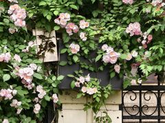 -常熟路(地铁站)