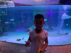 -沈阳海洋探索中心