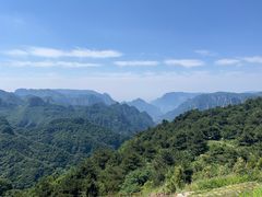 -王莽岭风景区