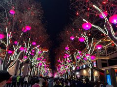 -西京医院