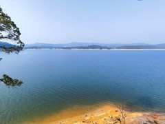 -广州市流溪河国家森林公园