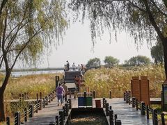 -苏州太湖湖滨国家湿地公园
