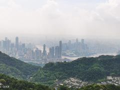 -大金鹰园