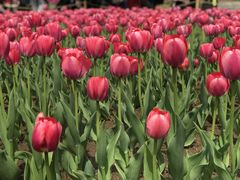 -长春公园(普阳街道)