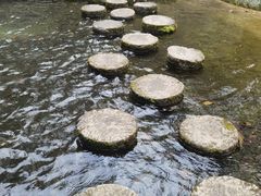 -千岛湖东南湖区