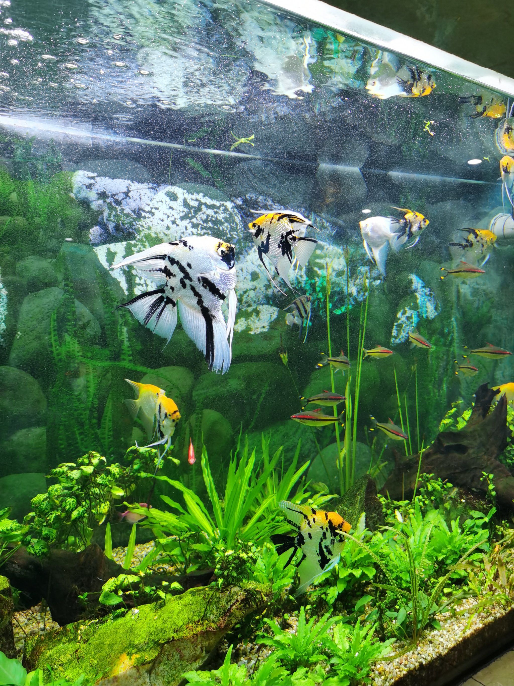 水族馆的秘密角落