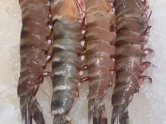 -蚝老板海鲜烧烤大排档(码头店)