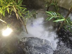 -西郊竹园甲鱼面(老一中店)