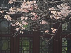 -堤角公园
