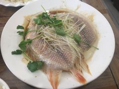 清蒸红斑鱼-砂锅李(九江路店)
