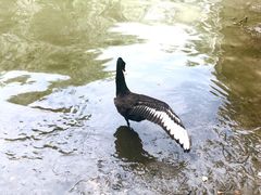 -颐和园