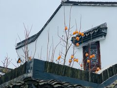 -丝绸小镇荻港古村