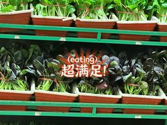 -天和晟烤鸭店(玉泉西街店)