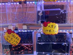 -中环花鸟鱼虫市场