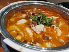 -龙梅肥肠鱼(明瓦廊店)