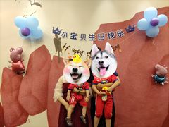 -寻味顺德·珍之宝酒楼(银钻店)
