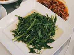 -正兴蜀园(科技园区店)