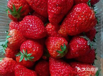 主要大半夜还营业适合我这种夜猫子