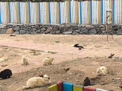 -西部长青自然儿童乐园