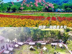 -丹樱生态园
