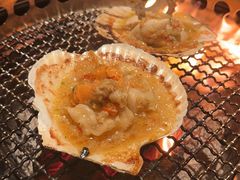 北海道大扇贝-300杯·和牛烧肉清酒专门店(廊里店)