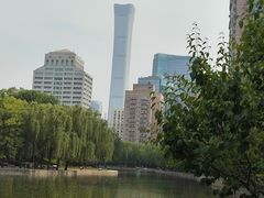 -团结湖公园