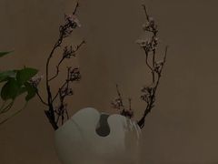 -Sakura·美颜社·日式私汤SPA