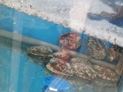 -宾朋海鲜特色美食餐厅·纯手工鲅鱼水饺(兴海路店)