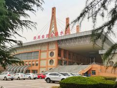 -陕西省游泳跳水馆