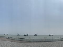 -贡湖湾湿地公园
