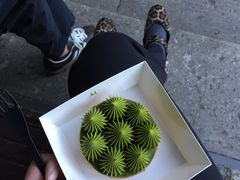 抹茶挞-猫里有甜