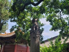 -西安碑林博物馆