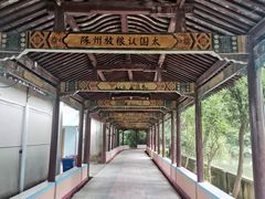 -华西村