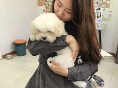 -翊宠yipet猫狗购宠庄园