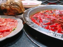 -渝大狮毛肚老火锅(普陀店)