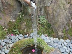 -料亭菊水楼