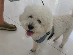 -美联众合动物医院·24h京西诊疗中心