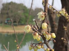 -沙家浜风景区