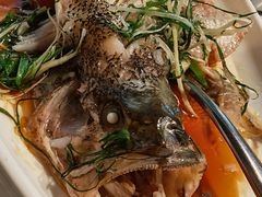 -YAFEE雅菲·粤菜·湘菜·融合菜(魏公村店)
