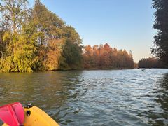 -上海海湾国家森林公园