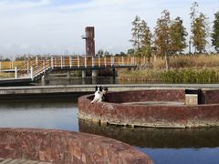 -春花秋色城市公园