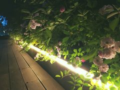 景观位-UNI UNI(环亚凯瑟琳店)