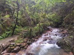 -江西阳明山国家森林公园