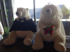 iphone_upload_pic-济州岛泰迪熊博物馆