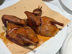 -孙大厨鸽子馆(丰收路店)