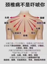 -香薇妮丝女子减肥院