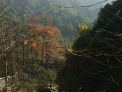 -大明山自然探索公园