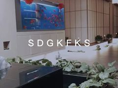-宫七SPA·高端Massage(浦东大道店)