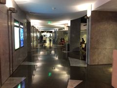 -百美汇影城(LUXE嘉里中心店)